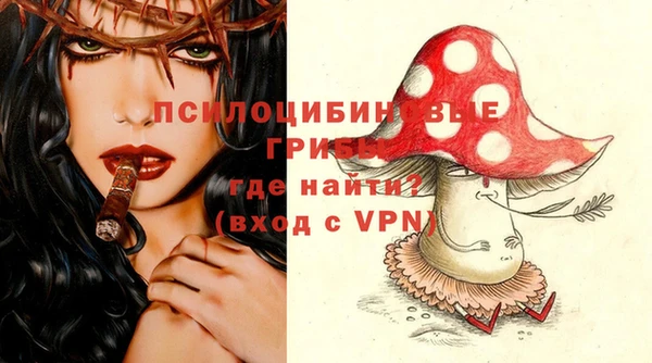 ECSTASY Новокубанск