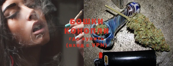 прущие грибы Волосово