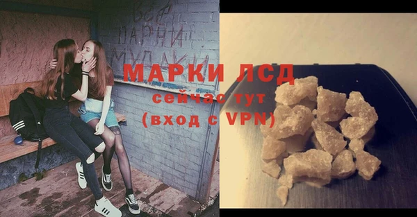 марки lsd Новозыбков