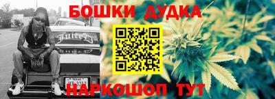 шишки Изобильный