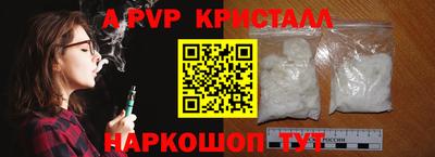 шишки Изобильный