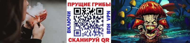Псилоцибиновые грибы ЛСД Людиново