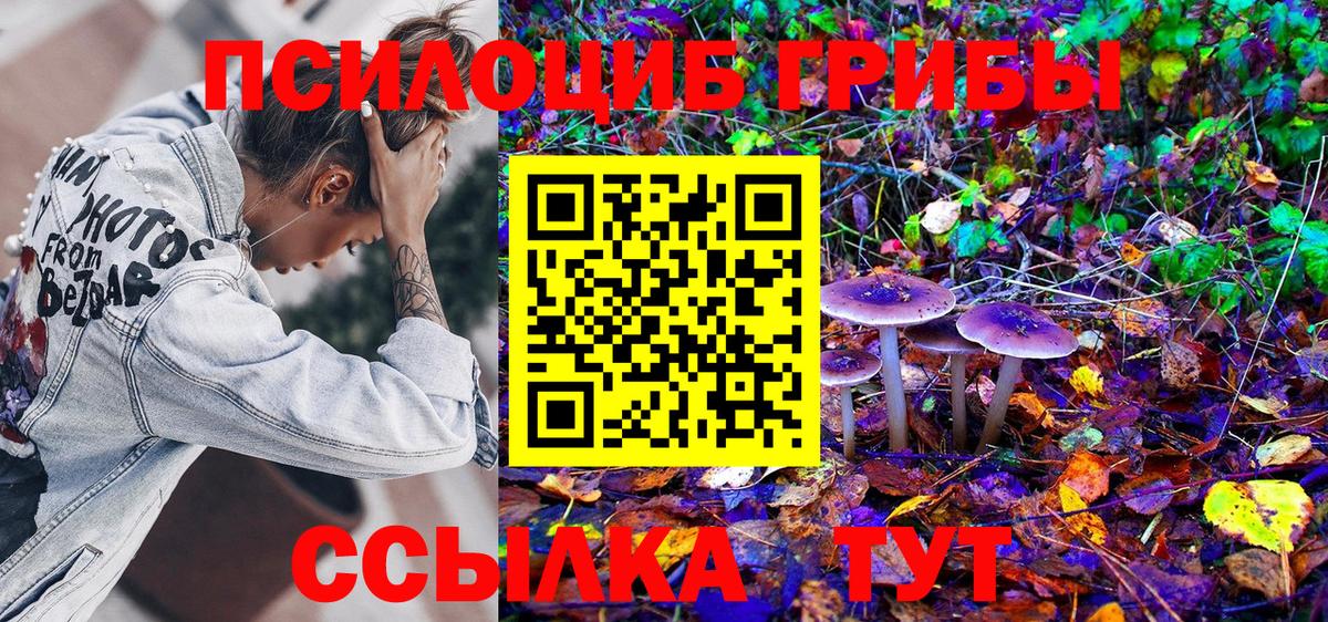 Галлюциногенные грибы мицелий Людиново