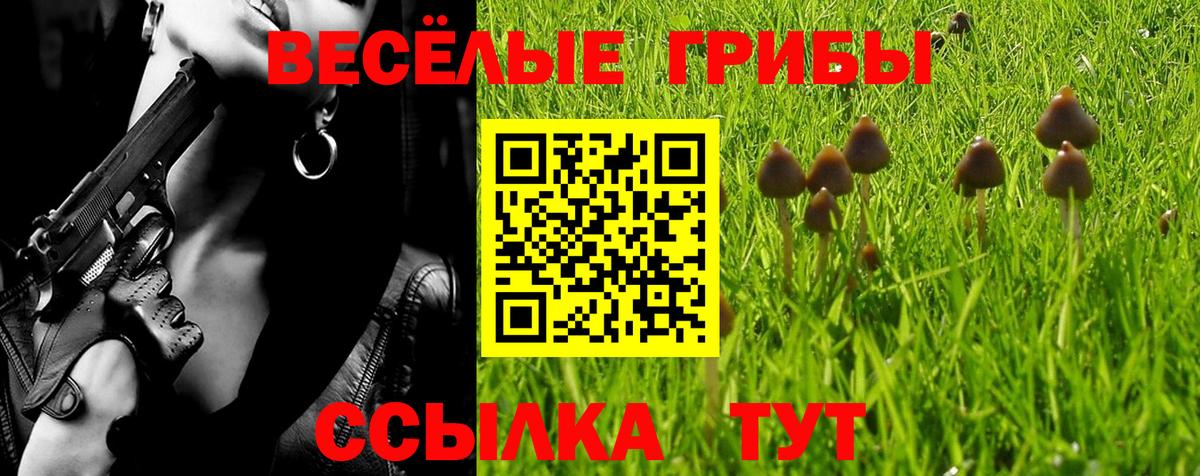 Псилоцибиновые грибы Psilocybine cubensis  Галлюциногенные грибы прущие грибы  Людиново  где можно купить   Вход с VPN 
